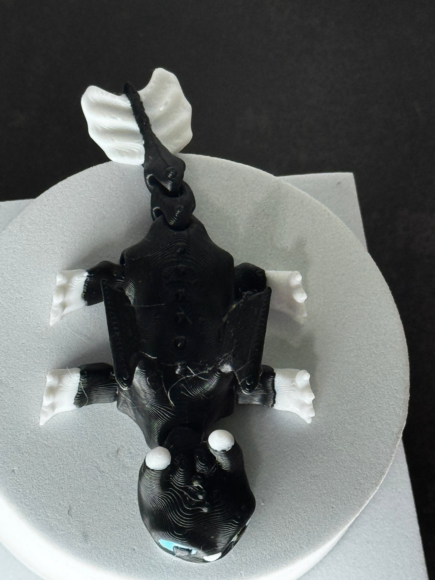 Nightshade – 3D Printed Dragon Cat Hybrid, Articulated Desk Pet, Cute Fantasy Creature Figurine